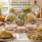 ALCEDIA Premium Sprouting Jar Kit - Unique 30 oz Wide Mouth Sprouting Jar, Stand, Tray and 316 Stainless Screen Lid | Decorative Indoor Seed Sprouter and Germinator (1 Kit)