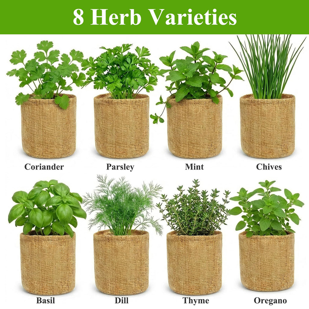 Indoor Herb Garden Kit, Culinary Herb Starter Kit with Seeds & Tools for Beginners, Kitchen Decor, House Warming Gifts for New Home, for Christmas, Ultimate Birthday Gifts for Women Men Mom Dad