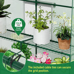 SPECILITE 56×56×78Inch Walk-in Greenhouse for Outdoors Garden Plant, Green