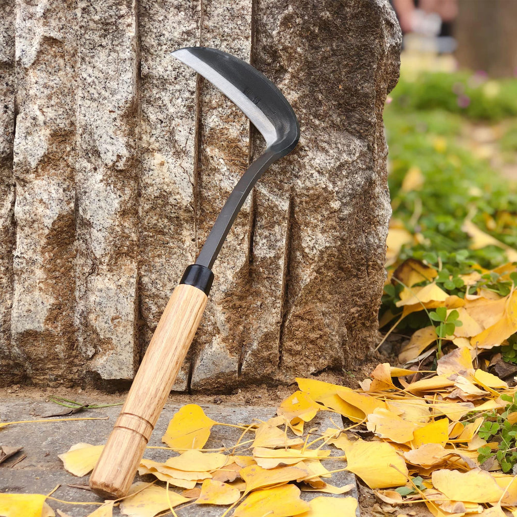 SHANFEEK Japanese Weeding Sickle Hoe Gardening Tools 13-Inch Weed Remover Tool High-Carbon Steel One-Piece Molding with Hard Solid Wood Handle(Snake-Necked)