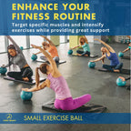 ProBody Pilates Small Exercise Ball - 9 Inch Workout Ball for Stability, Barre, Yoga, Core & Physical Therapy, Home Gym & Office Use (Black)