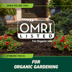 Ortho GroundClear Weed & Grass Killer with Comfort Wand, 1 gal.