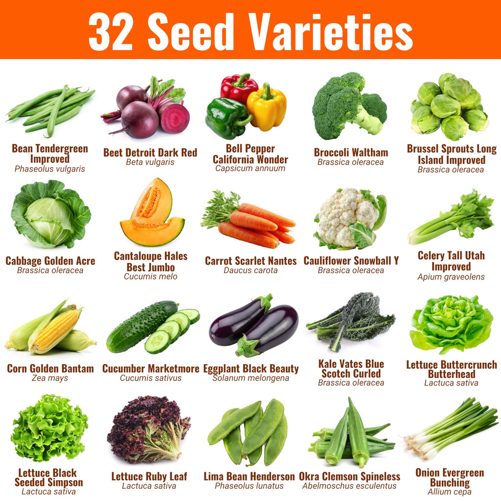 Vegetable & Fruit Seeds, 32 Packs, Non-GMO, 15,000+ Seeds