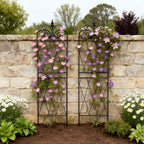 SCENDOR Garden Trellis for Climbing Plants 59inch x15inch Rustproof Metal Vine Trellises for Outdoor Climbing Plants Support Structures A (150cm) 2Pack