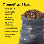 Glad ForceFlex Heavy Duty Trash Bags With Clorox, Mountain Air, 30 Gal, 50 Ct (Package May Vary)