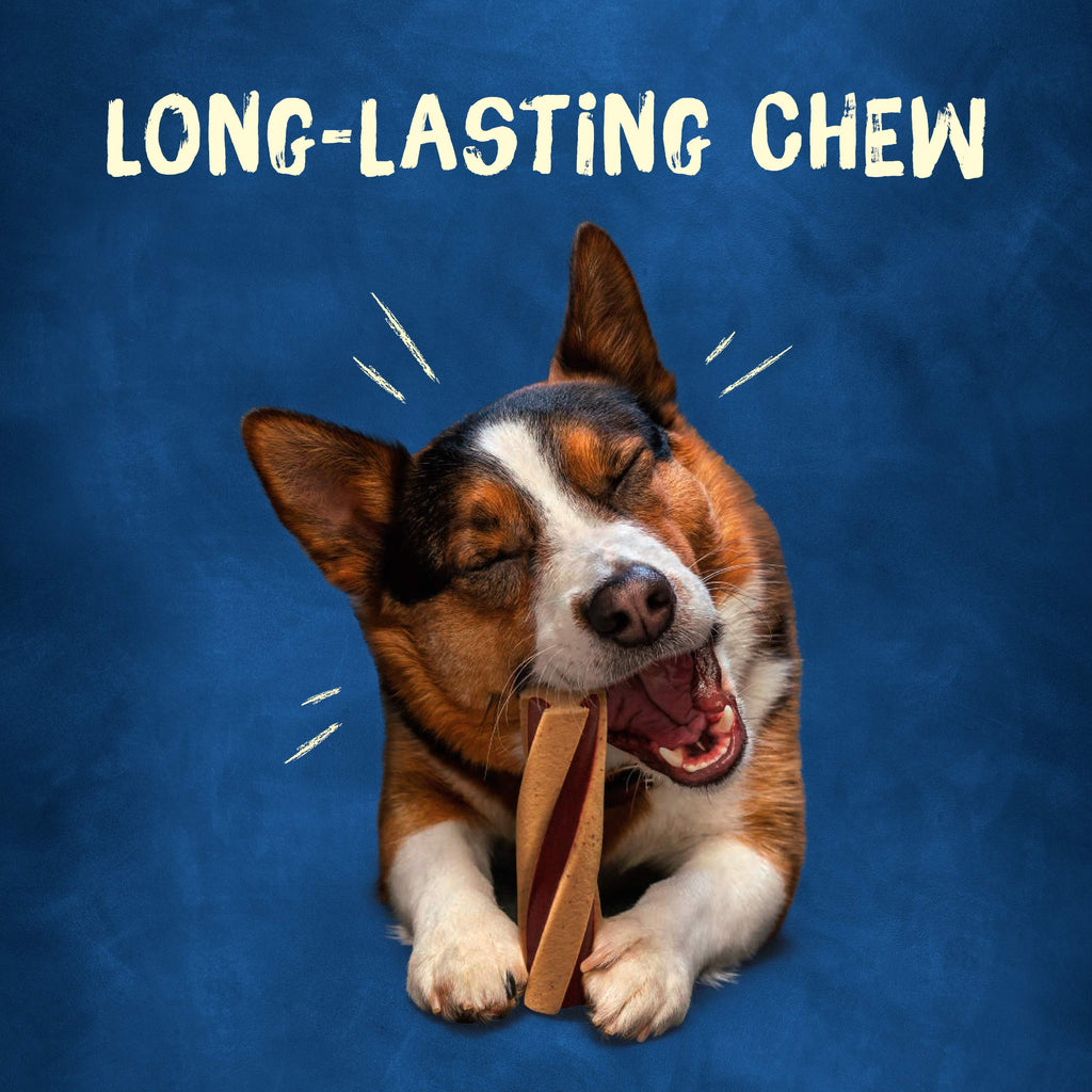 Purina Busy with Beggin Twisted Dog Treats, with Real Bacon, 10 ct Pouch
