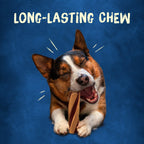 Purina Busy with Beggin Twisted Dog Treats, with Real Bacon, 10 ct Pouch