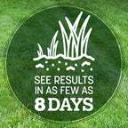Pennington Kentucky 31 Tall Fescue Grass Seed, Drought-Resistant, 7 LB