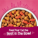Friskies Purina Gravy Swirlers Dry Cat Food, Chicken & Salmon, 22 lb Bag