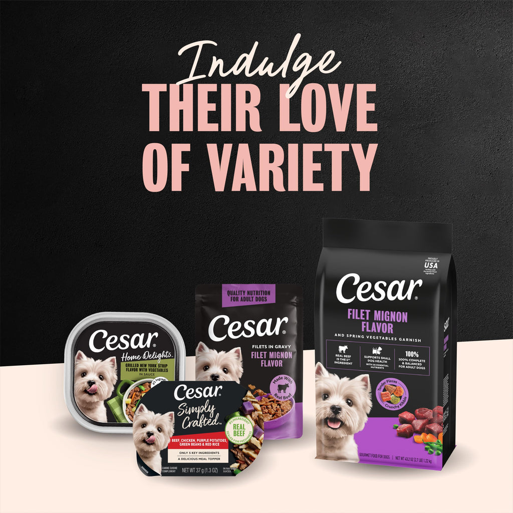 Cesar Small Breed Dry Dog Food, Filet Mignon & Spring Vegetables, 12 lb