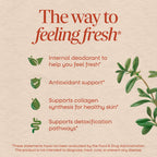 Nature's Way Chlorofresh Liquid Chlorophyll, Chlorophyllin Copper Complex, Internal Deodorant Supplement, Supports Healthy Skin and Detox Pathways*, Mint Flavored, 16 fl oz