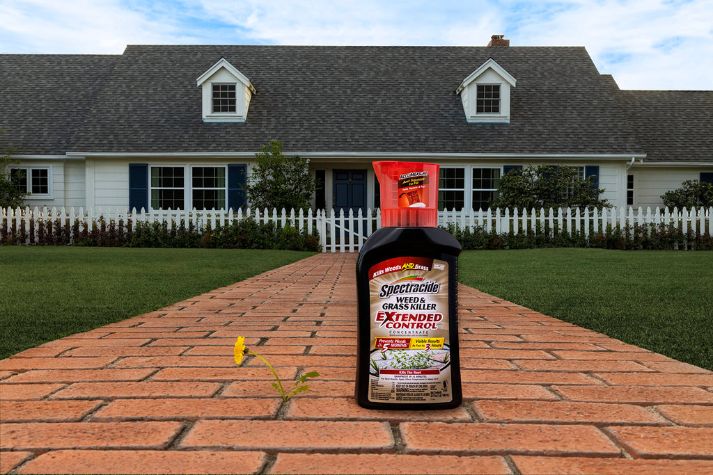 Spectracide Weed and Grass Killer with Extended Control Concentrate, 32 Ounces, with Accumeasure System