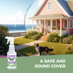 VermExon Peppermint Oil Insect & Pest Control Spray – 16oz Natural Plant-Based Bug Killer for Spiders, Ants, Flies, and Other Insects, Safe for Home & Kitchen Use
