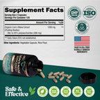 Lions Mane Supplement Capsules - Organic Lions Mane - Made in USA - Fruiting Bodies Extract - 1200 mg, 25% Polysaccharides - Memory & Focus Support - As Lions Powder - 240 Capsules, 4 Month Supply
