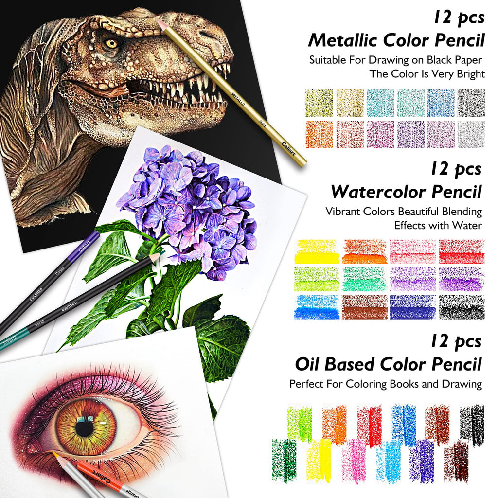 Caliart 176PCS Art Supplies Sketching Kit, 100 Sheets 3-Color Sketch Book