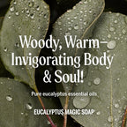 Dr. Bronner's Magic Soap - Pure-Castile Liquid Soap (Eucalyptus, 16 ounce, 2-Pack) -Regenerative Organic Certified Oils, 18-in-1 Uses: Body, Hair, Laundry, Pets & Dishes, Concentrated, Vegan, Non-GMO