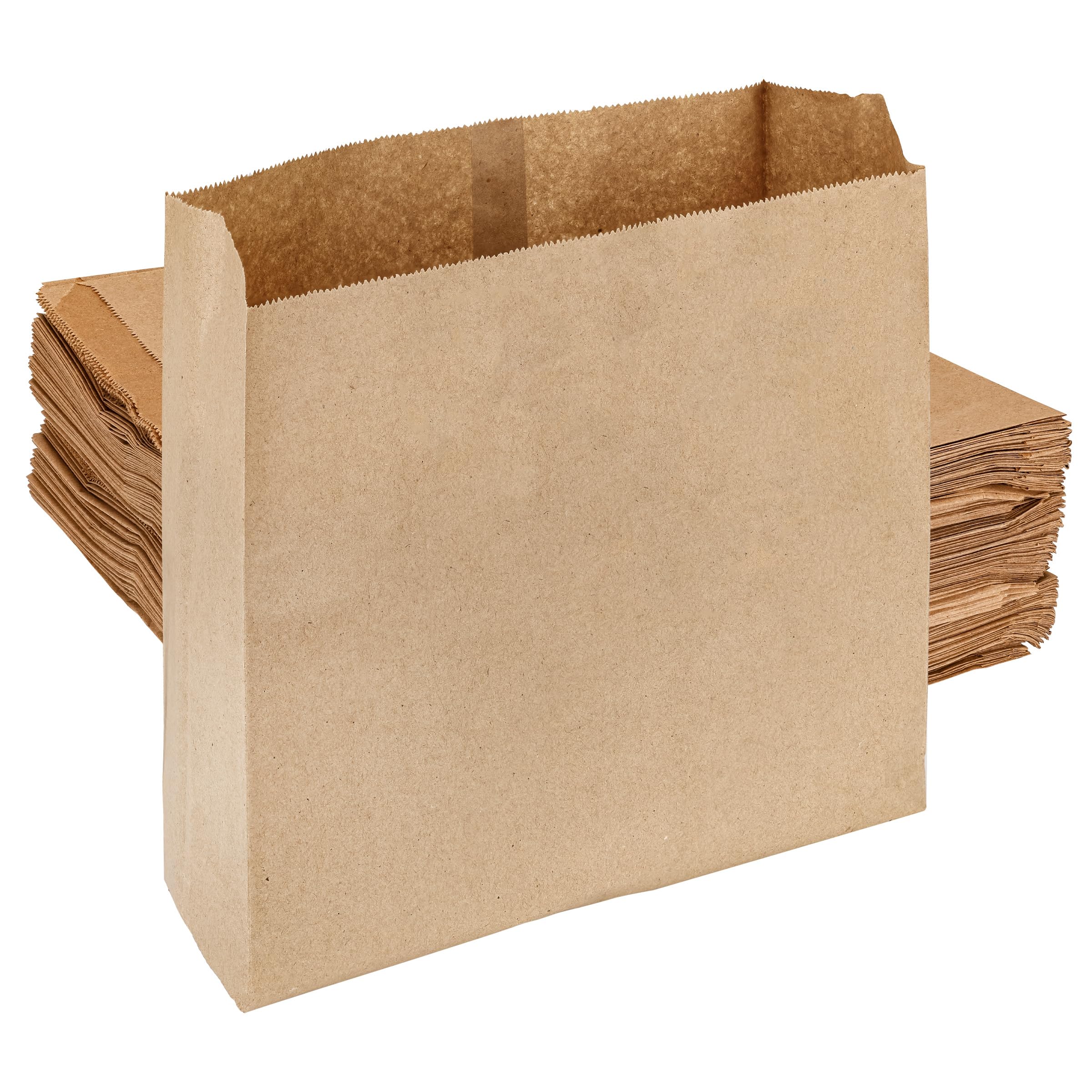 Hospeco HS-6141 Waxed Kraft Receptacle Liner Bags, 250 Count - Moisture-Resistant Feminine Hygiene Waste Bags, Fits Sanitary Disposal Units,9.25 x 10.5 x 3.25 in