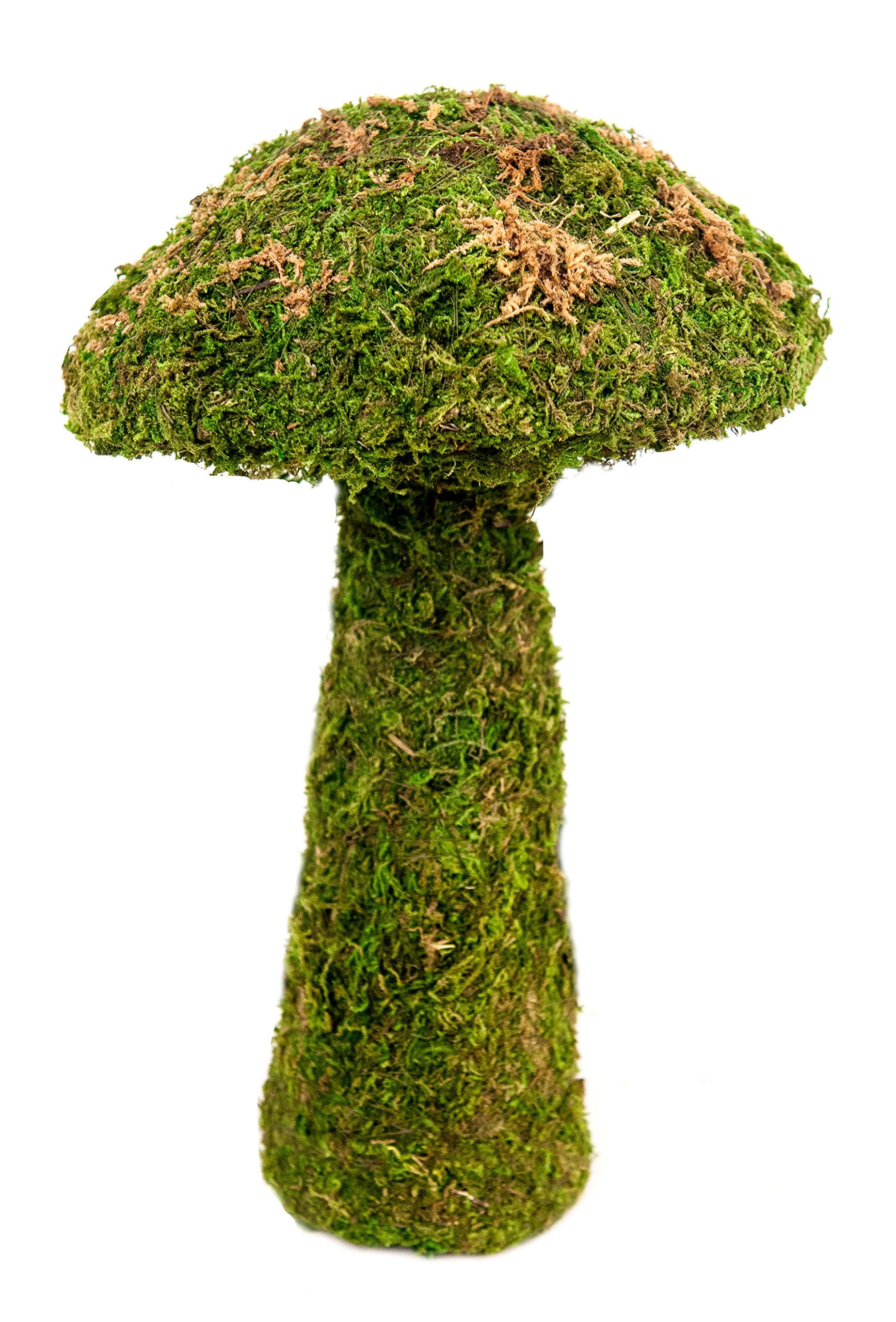 SuperMoss (55271) Deco Moss Small Mushroom, 11", Fresh Green