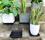 NIMYAU Square Plant Saucer 14 Inch 2 Pack 8 12 14 16 18 20 Plant Trays for Pots Heavy Duty Plastic Plant Saucers for Indoors Outdoors, Flower Pot Plant Drip, Extra Lager No Holes Plant Tray