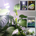 ALIDE Led Grow Light Bulbs for Indoor Plants Full Spectrum E26 A19