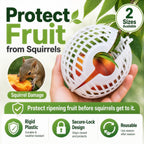 Rooted Promise Fruit Protection Cages for Peaches and More | 2026 Improved Secure-Lock Design | Small 4x5 Inch | 12 Pack | Squirrel Resistant | Reusable Heavy-Duty Plastic | Made in USA