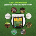 Premium Nutrient-Rich Stretch Coir Blend - 10 lbs Covers Up to 400 Sq Ft - Grow Thicker, Greener Grass in Heat Conditions of