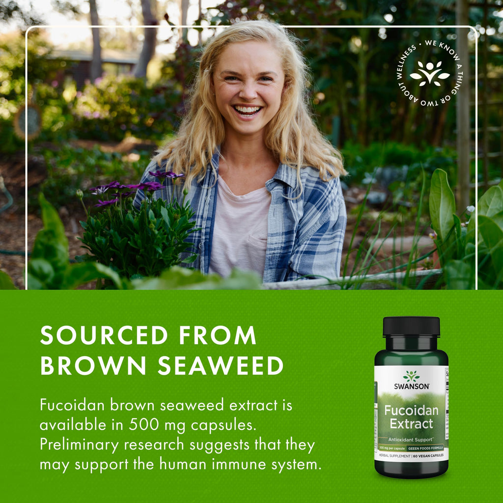 Swanson Maximum Strength Fucoidan Extract Immune Support Supplement for Adults Seeking Natural Immune Defense from Brown Seaweed - 500 mg (60 Vegan Capsules, 2 Pack)