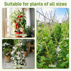 0.32”-0.4"/ 4 Feet Garden Stakes, Natural Bamboo Sticks Plant Stakes for Indoor and Outdoor Plants，Poles for Tomatoes, Beans, Potted Plants(50Pcs)