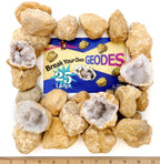 DANCING BEAR 25 Break Your Own Geodes, 90% Hollow, (Large 1.75-2.5") Crack Open & Discover Amazing Surprise Crystals Inside! Educational Info and Instructions Included, Fun Party Favors & Prizes