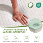 EGOHOME Full Size Memory Foam Mattress 8 Inch, Green Tea, Medium Firm