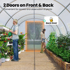 KING BIRD Premium 10x6.6x6.6FT Greenhouse for Outdoors Large Walk-in House