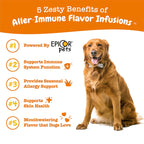 Zesty Paws Allergy & Immune Flavor Infusions for Dogs - with Omega 3 Salmon Oil for Sensitive Skin, EpiCor Pets, Colostrum & Quercetin - Supports Seasonal Allergies - Chicken Flavor - 16 fl oz