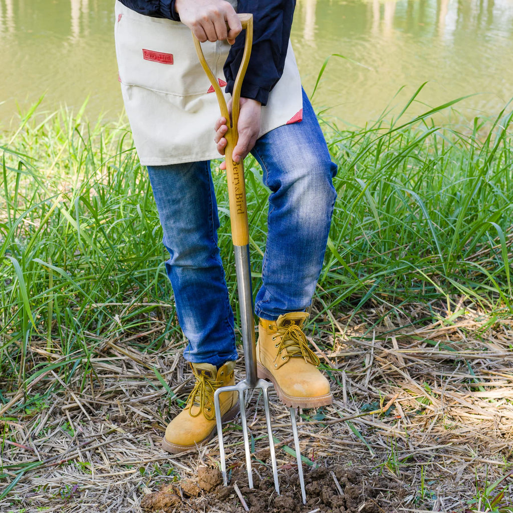 Berry&Bird Gardening Digging Fork, 4-Tine Stainless Steel Pitchfork