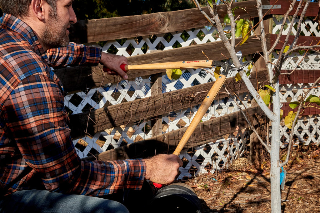 Corona Tools WL 3351 26″ Bypass Loppers – Heavy-Duty Branch Cutter for Trees, Shrubs & Landscaping