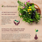 Best Botanicals Poke Root Powder 16 oz.