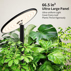 chiphy 85" Tall Grow Light for Large Indoor Plants, 60W Full Spectrum Plant Light with 4/8/12H Timer & Remote, 10-Level Dimmable, Height Adjustable, Ideal for Large Tall Plants & Indoor Trees
