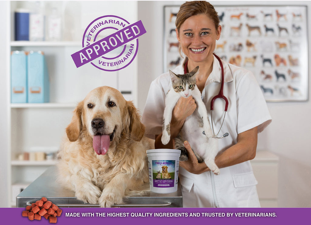 Hanzi Pets #1 Antarctic Krill Oil for Dogs Rich in Omega 3 Astaxanthin Vitamin E Skin and Coat Low Allergens Calories Certified Cgmp Made USA 60 Salty