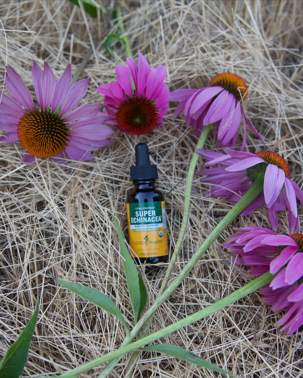 Herb Pharm Super Echinacea® Liquid Extract: USDA Organic Immune Support for Year-Round | Fast-Absorbing Echinacea Tincture, 4 Plant-Part Blend: Root, Leaf, Flower & Seed | Up to ~6 Week Supply, 2 oz*