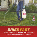 Ortho Home Defense Insect Killer for Indoor and Perimeter Concentrate - Kills Ants, Cockroaches and Spiders, 32 fl. oz.