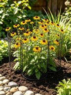 JILLSKY 16" Chicken Wire Plant Cages, 6 Pack