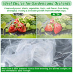 Garden Netting for Raised Beds, Plant Covers Garden Protection Bird Netting