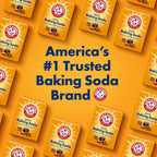ARM & HAMMER Baking Soda, 1 Lb, 12 Pack