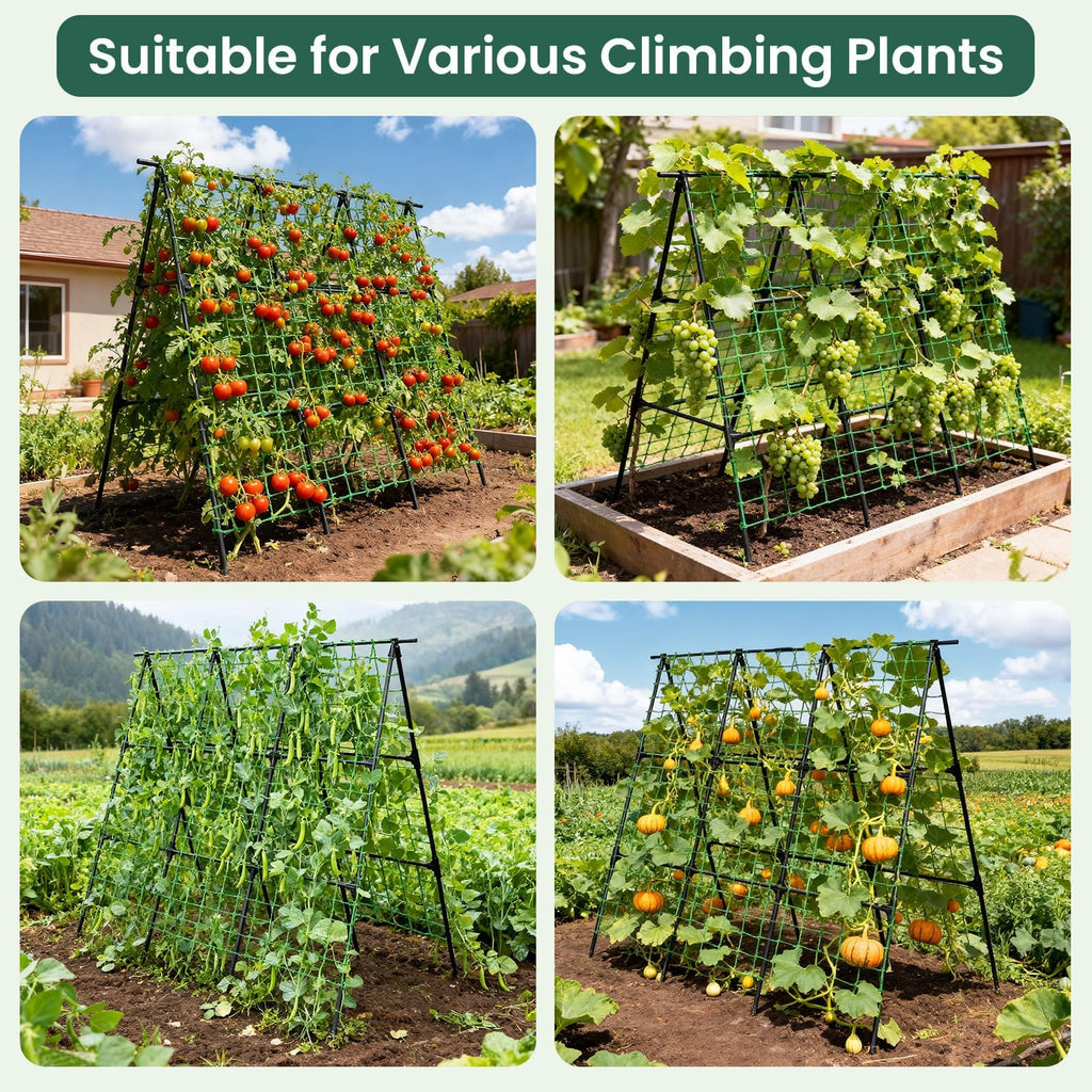 OTOSUNNY Cucumber Trellis for Raised Garden Bed, 50 x 48 in, Black