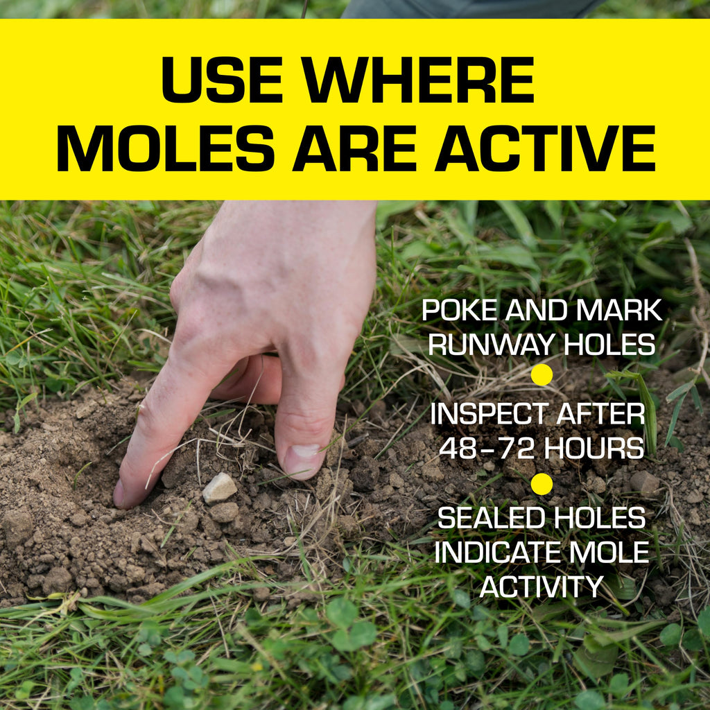 Tomcat Mole Killer(a), 12 Worm Baits