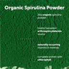 Micro Ingredients Organic Spirulina Powder, 2lb | Blue-Green Algae, Rich in Vegan Protein, Vitamins & Minerals | Source of Natural Chlorophyll & Enzymes | Non-GMO, Gluten-Free, No Additives
