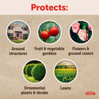 Sevin Insect killer Concentrate 1 Gallon