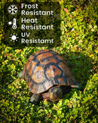 Sdeetesamjun Tortoise Turtle Statue,Resin Garden Sculpture Indoor/Outdoor Yard Lawn Ornament,Home Decor (Large)