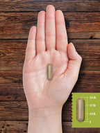 Carlyle Grass Fed Beef Pancreas | 550mg | 200 Capsules