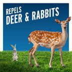 Liquid Fence Deer And Rabbit Repellent Ready-To-Use, Apply Year-Round, 1 Gallon
