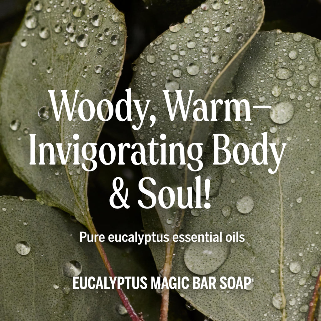 Dr. Bronner's Pure-Castile Magic Bar Soaps (Eucalyptus, 5oz, 12-Pack) – Made with RegeOrganic Oils, Soap Bars for Men & Women, Gentle for Face & Sensitive Skin, Vegan, Cruelty-Free, Non-GMO